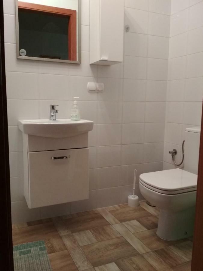 Koci Grzbiet Agroturystyka Dzierzazno Wielkie Buitenkant foto
