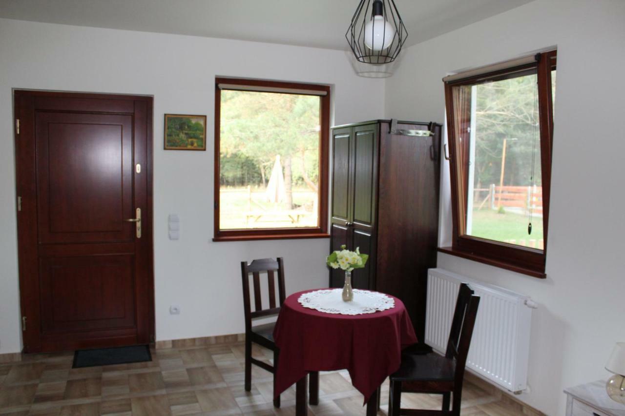 Koci Grzbiet Agroturystyka Dzierzazno Wielkie Buitenkant foto