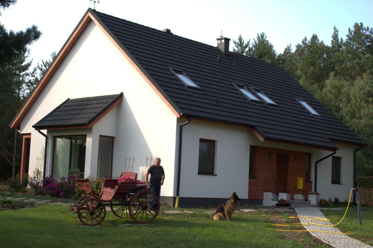 Koci Grzbiet Agroturystyka Dzierzazno Wielkie Buitenkant foto