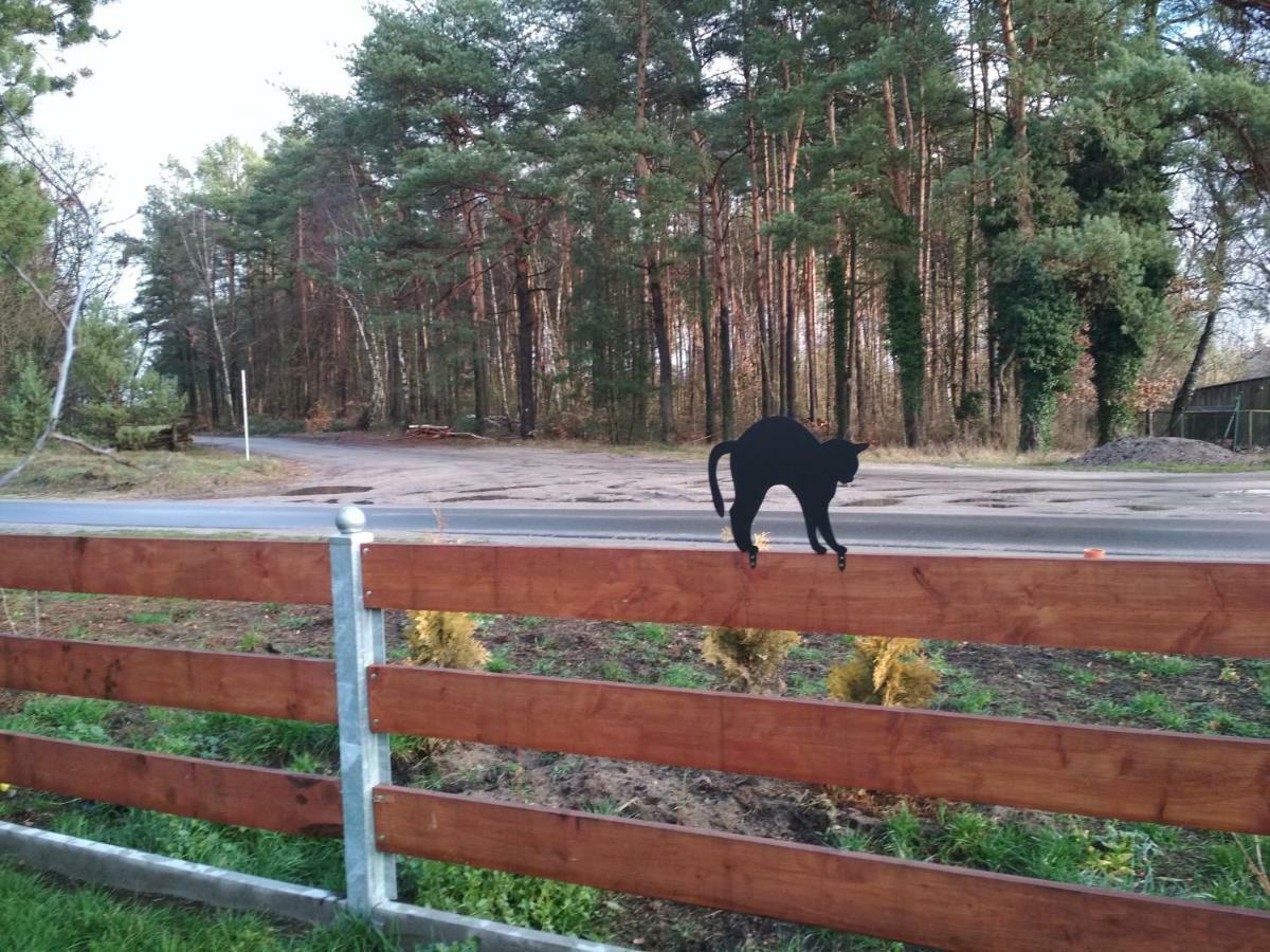 Koci Grzbiet Agroturystyka Dzierzazno Wielkie Buitenkant foto