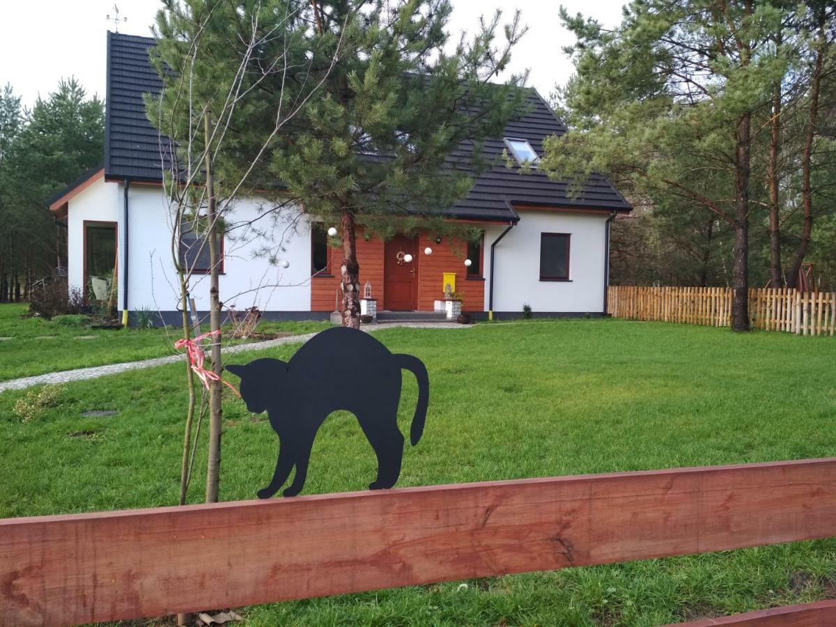 Koci Grzbiet Agroturystyka Dzierzazno Wielkie Buitenkant foto