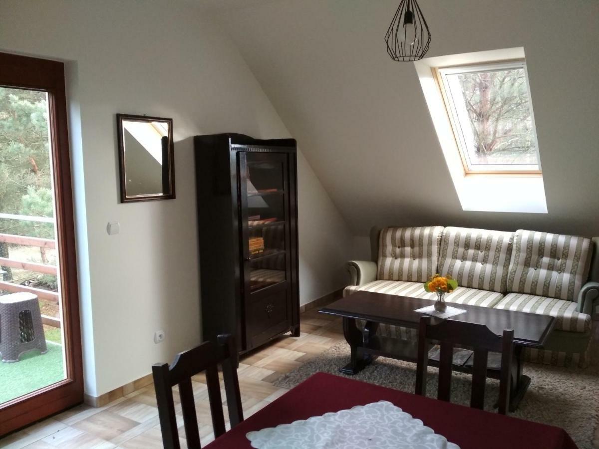 Koci Grzbiet Agroturystyka Dzierzazno Wielkie Buitenkant foto