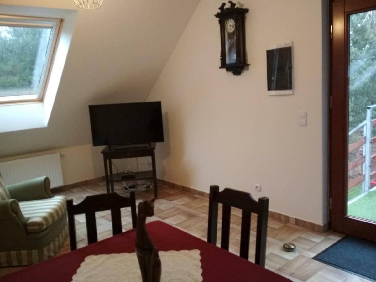 Koci Grzbiet Agroturystyka Dzierzazno Wielkie Buitenkant foto