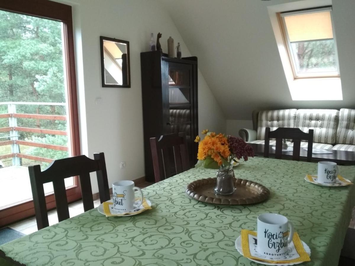 Koci Grzbiet Agroturystyka Dzierzazno Wielkie Buitenkant foto